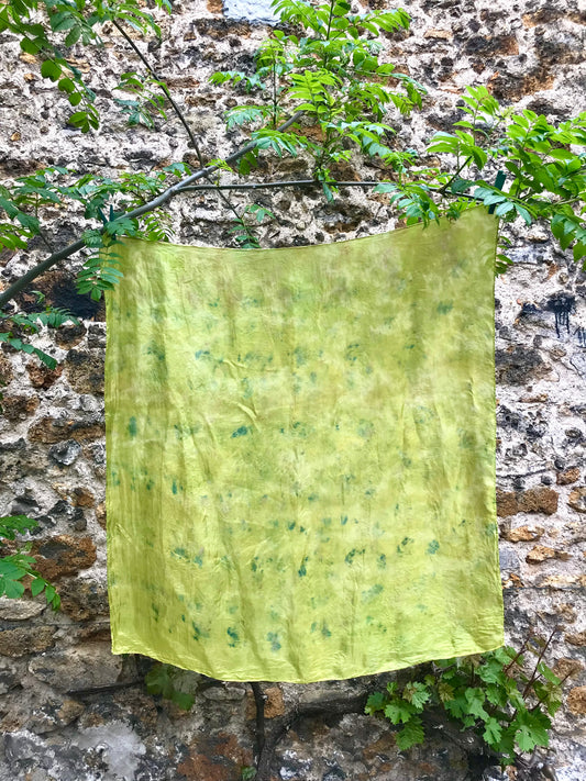 Foulard en soie teint à la main avec des plantes n°9
