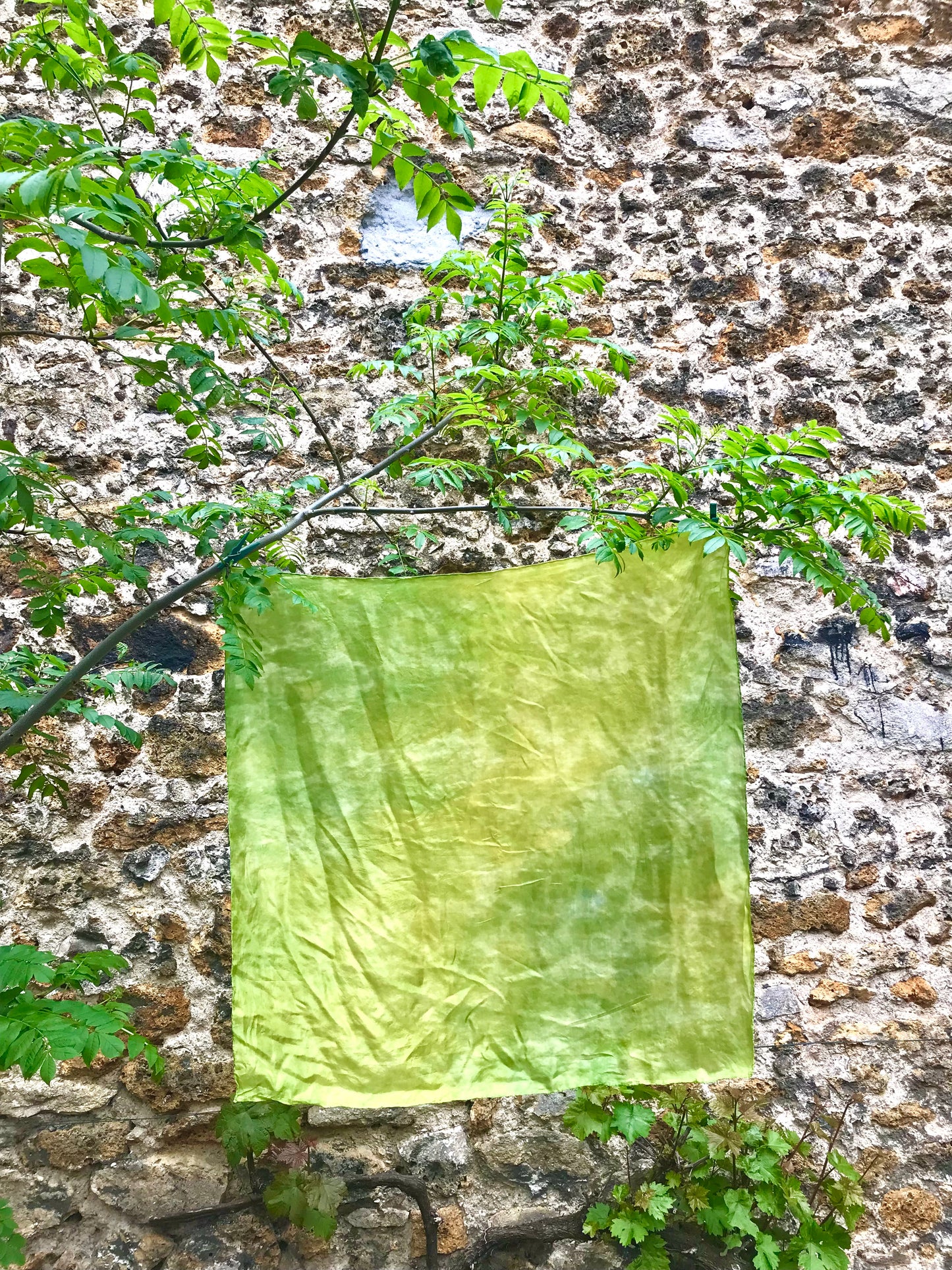 Foulard en soie teint à la main avec des plantes n°3