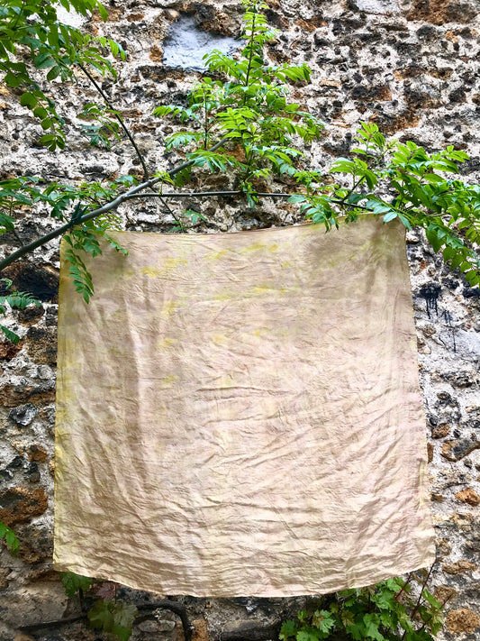 Foulard en soie teint à la main avec des plantes n°10
