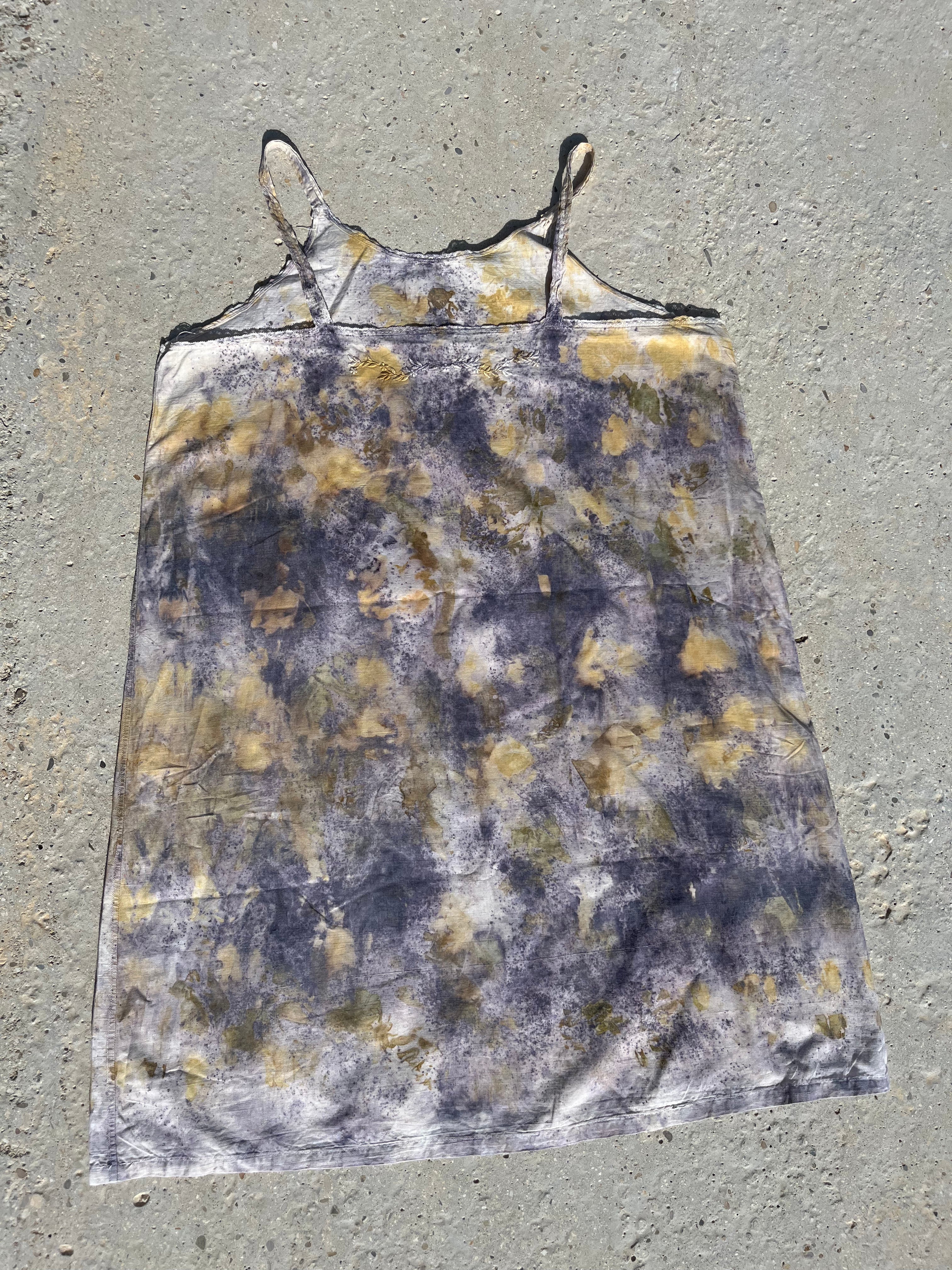 Nuisette ancienne teinte avec des plantes 🌸 Constellations